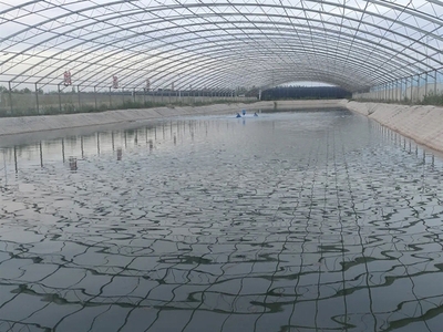 水产养殖的摇篮 选择适合你的开始之路