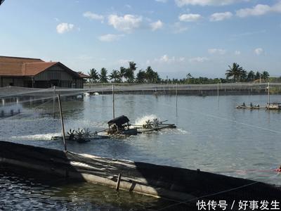 水产养殖场臭味如何解决？除臭剂助你摆脱环境困扰