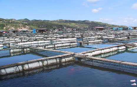 海洋功能区环境状况 水产养殖的可持续发展之路