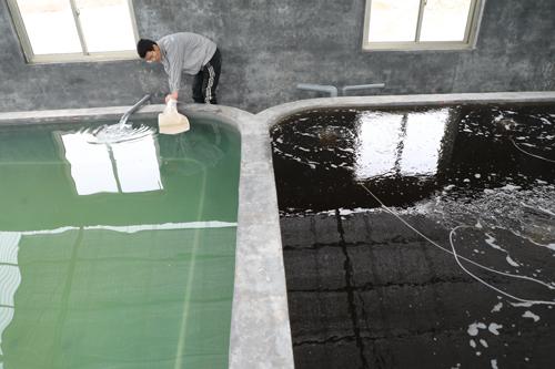 &ldquo;渤海1号&rdquo;实现滨州对虾本地造!鲁北最大水产基地显雏形