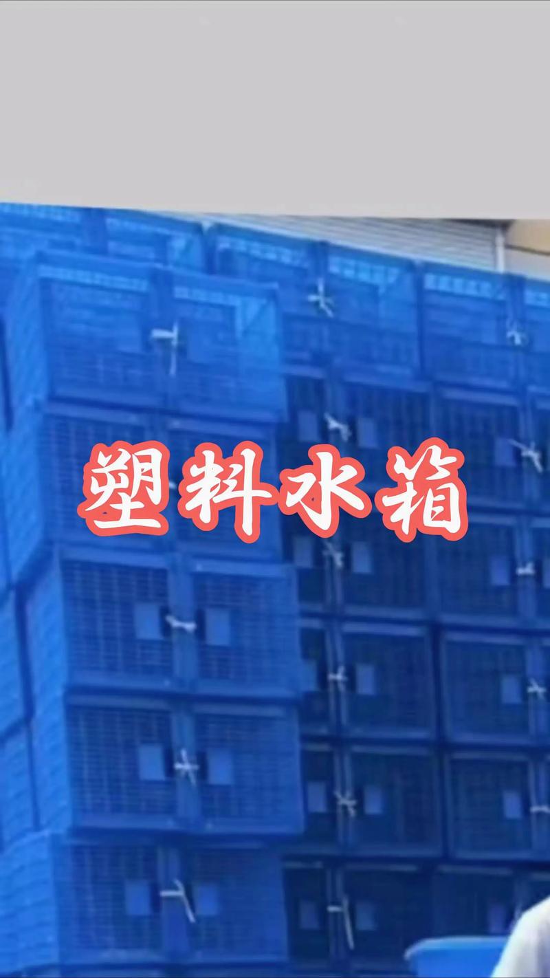塑料水箱长方形加厚带盖物流周转箱 水产养殖与服装厂的高效解决方案